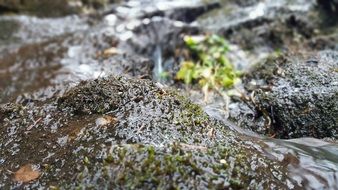 Water Nature Outdoors River