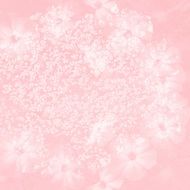 pale pink background with delicate flower pattern