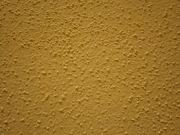 Background Plaster Yellow