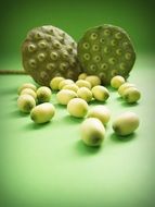 lotus seeds on green surface