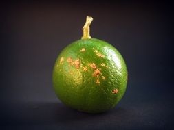 lime green on dark surface