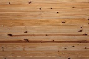 Wood Planks Natural Ceiling