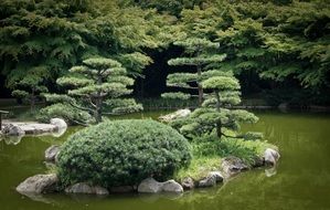 islets with plants on a lake in a japanese garden