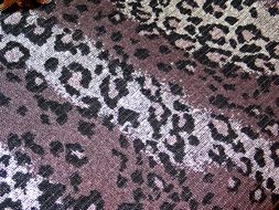 Fabric Knitting Tissue Wool