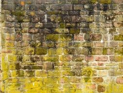 background with aged brick wall