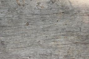 Wood Background Texture Neutral