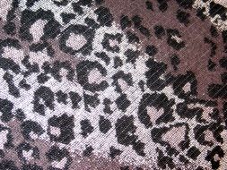 fabric with animal pattern