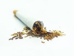 Tobacco Cigarette