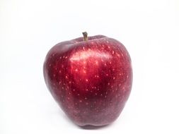 glossy red apple on a white background