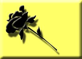 Rose Black Flower 3D Blossom