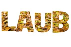 Leaves Lettering Scripture Texture