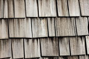 Wood Texture Background Texture