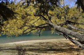 scenic riverside in autumn