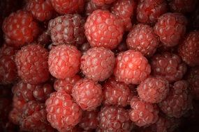 Raspberries Close Red Sweet