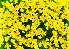 background in the form of yellow flowers with green leaves
