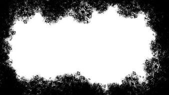 white background with black flower arrangement