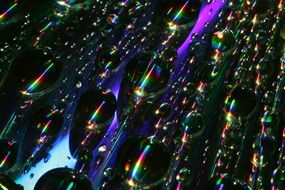 Trickle Cd Dvd Desktop