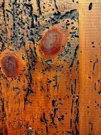 Wood Texture Woodworms Old