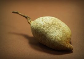 tamarind on the brown background