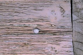 nail in the board