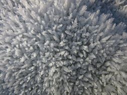 background with hoarfrost crystals