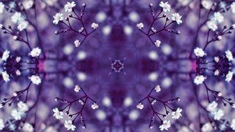 purple flower pattern with white stains