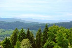 Mountains Forest Wallpaper View