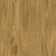 Seamless Texture Background Wood