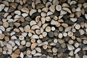 Wood Tribes Hack Fireplace