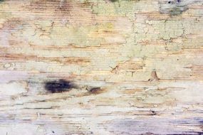 Wood Background Vintage
