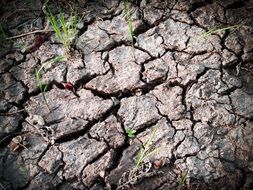 cracks in the soil in dry weather