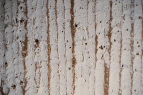 plaster on the wooden wall