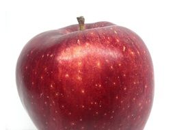 ripe red apple on a white background