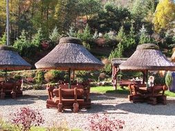 tables with umbrellas in the park with colorful plants