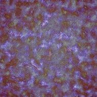 background with color divorces
