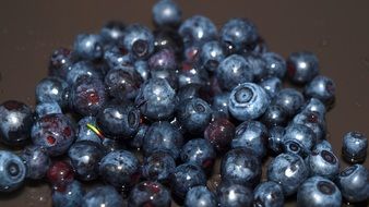Blueberry Berry Forest Berries