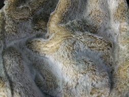 Fur Material Texture