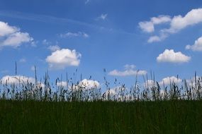 Background Horizon Sky Clouds