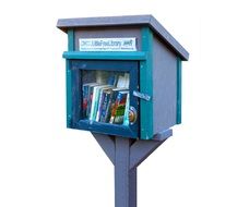 Little Library Library Books