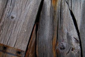 Wood Logs Timber Nature Trunk