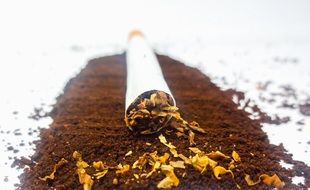 Cigarette Tobacco Coffee Powder