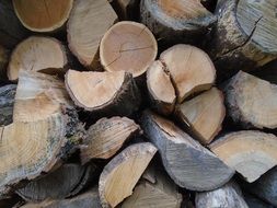 Wood Woodpile Fuel Nature Cut