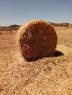 Sky Straw Rolls Field Nature