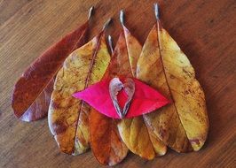 fall leaves on the wooden table