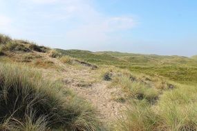 Dunes Danish Denmark Summer Sol