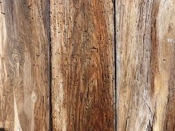 Background Texture Old Wood