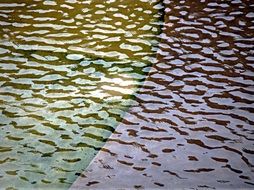 Ripple Water Surface Pattern