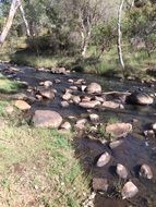 creek with stones in australia