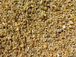 Grains Of Sand Many Pattern