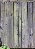 Board Boards Texture
